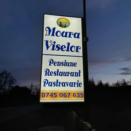 Moara Viselor * Vaideeni